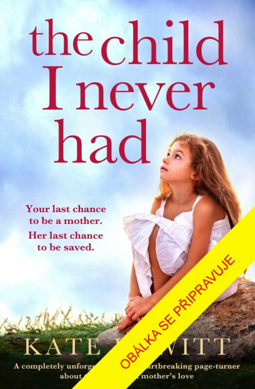 Dítě, které jsem neměla - Kate Hewittová