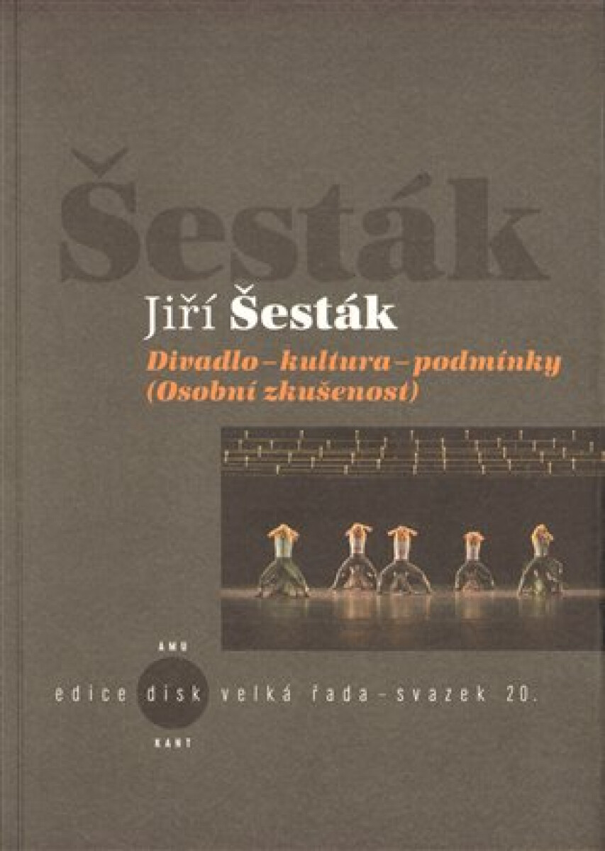 Kniha Divadlo-kultura-podmínky