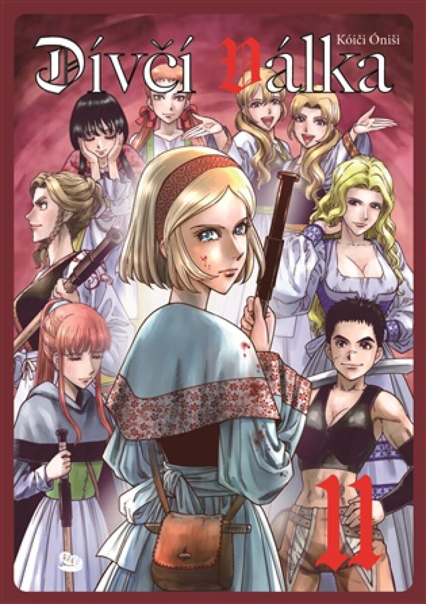 Kniha Dívčí válka 11