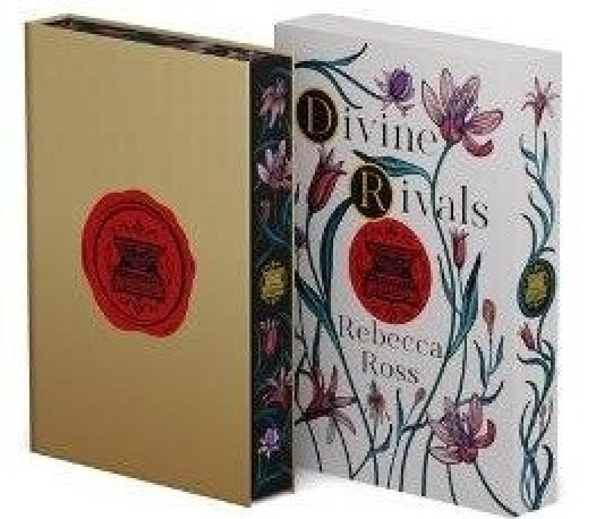 Kniha Divine Rivals Collectors Edition