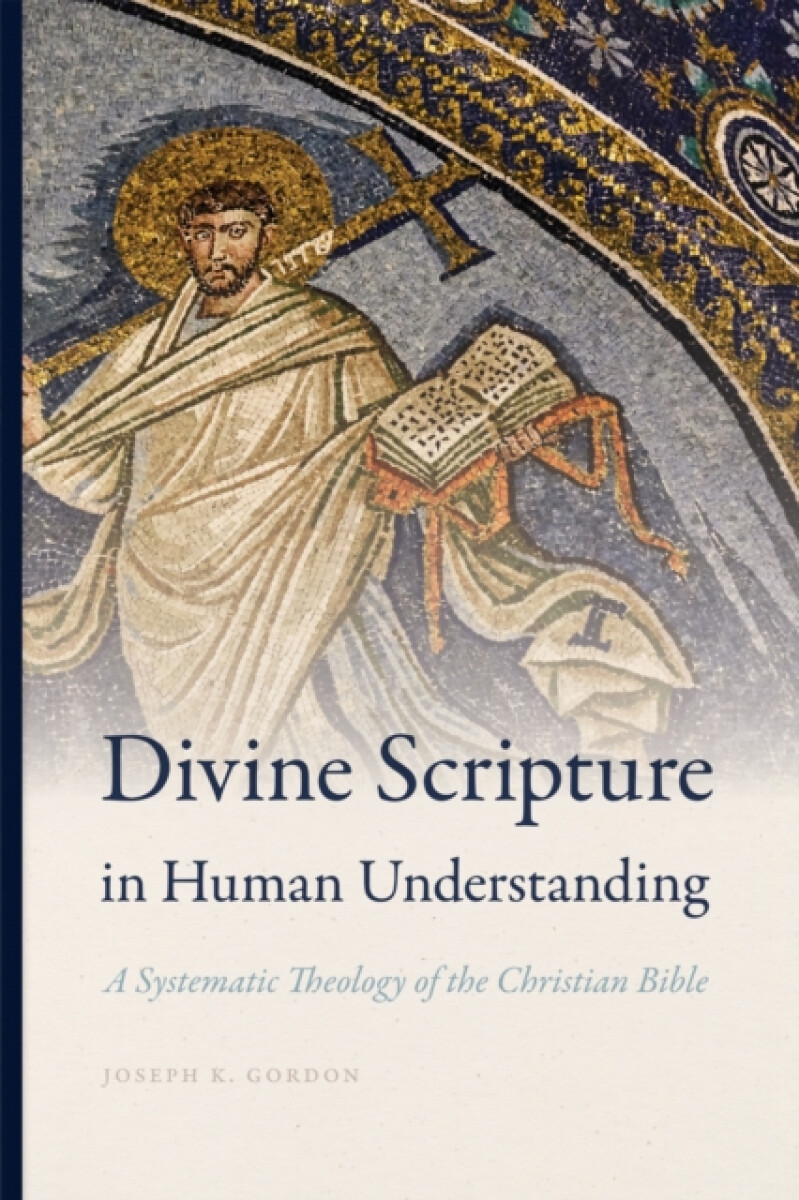 Kniha Divine Scripture in Human Understanding