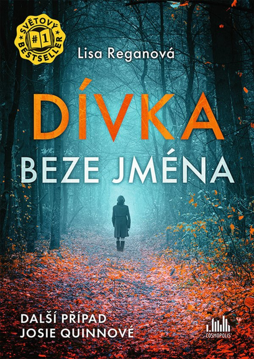 Levně Dívka beze jména - Lisa Reganová