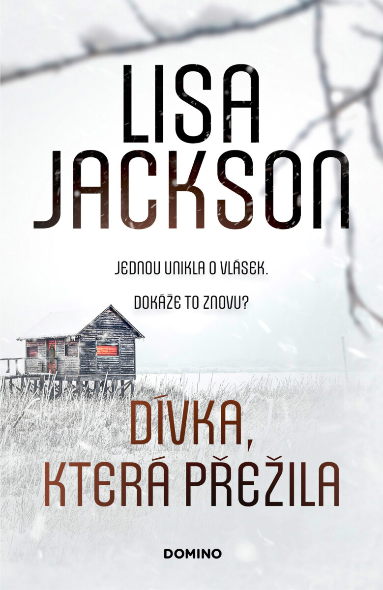 Levně Dívka, která přežila - Lisa Jackson