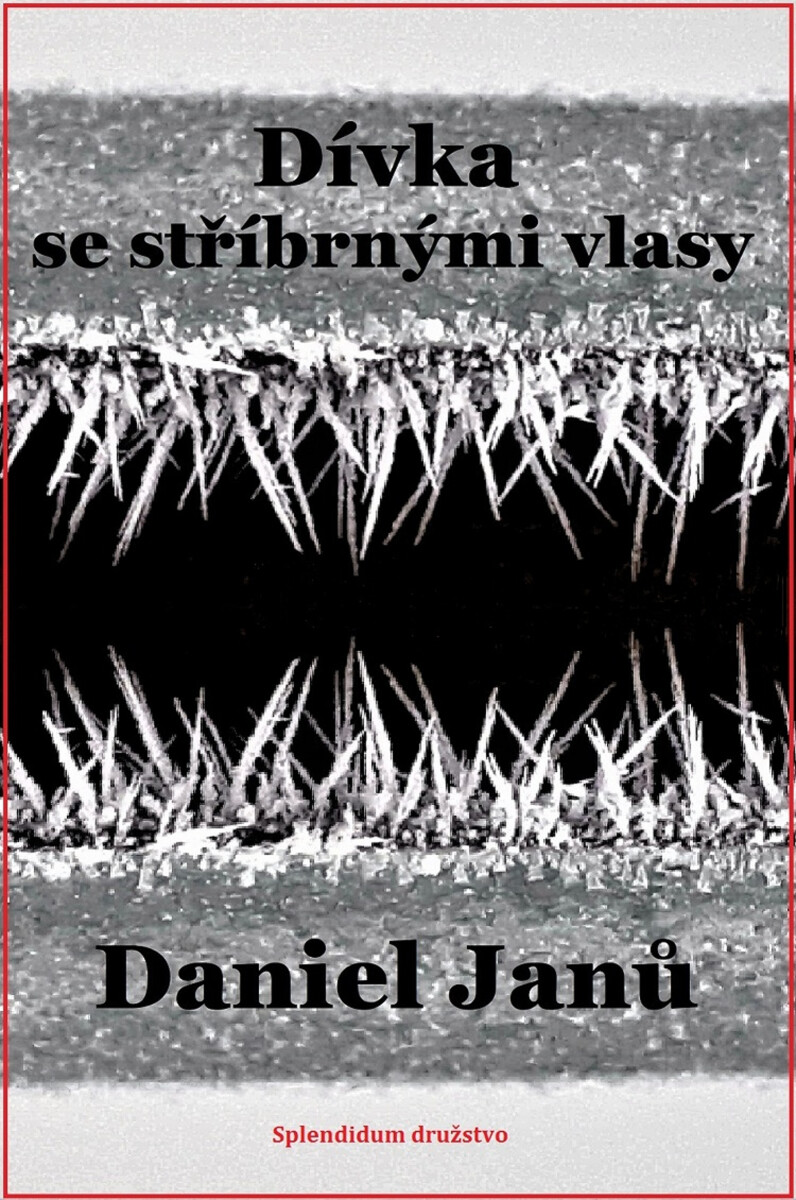 Dívka se stříbrnými vlasy - Daniel Janů