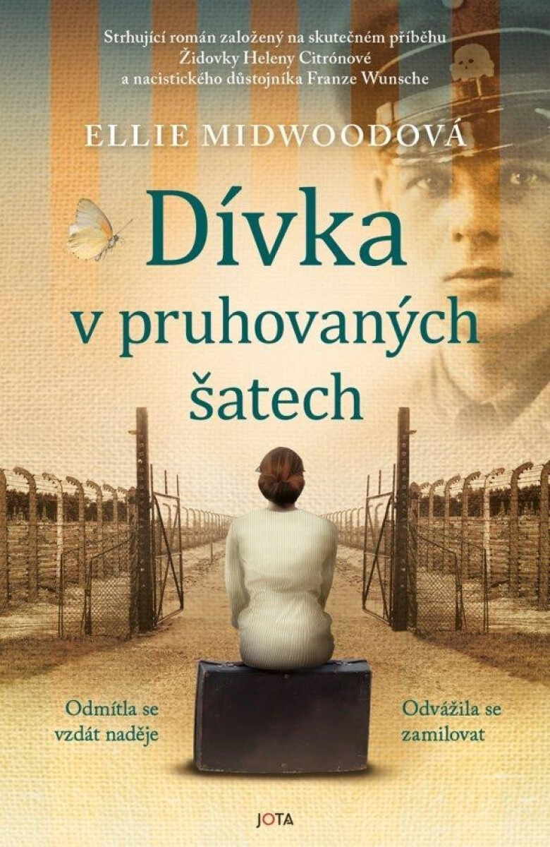 Kniha Dívka v pruhovaných šatech