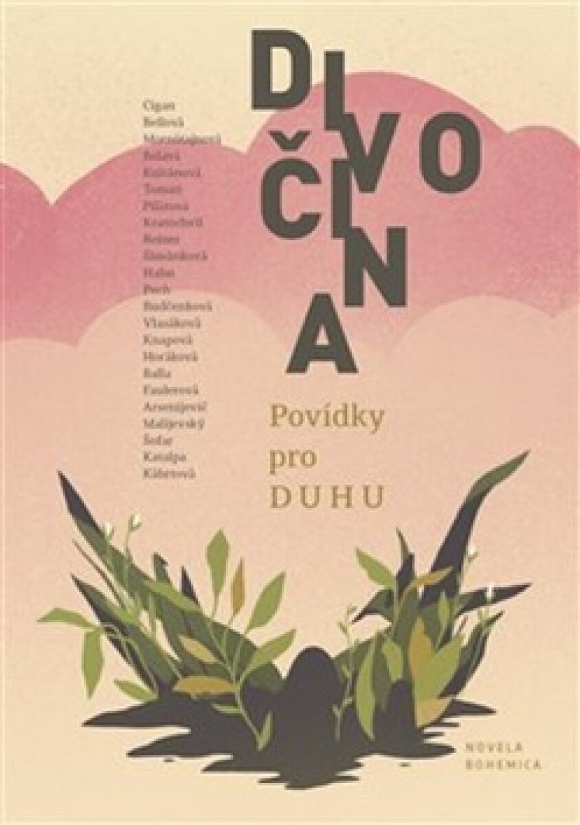 Kniha Divočina