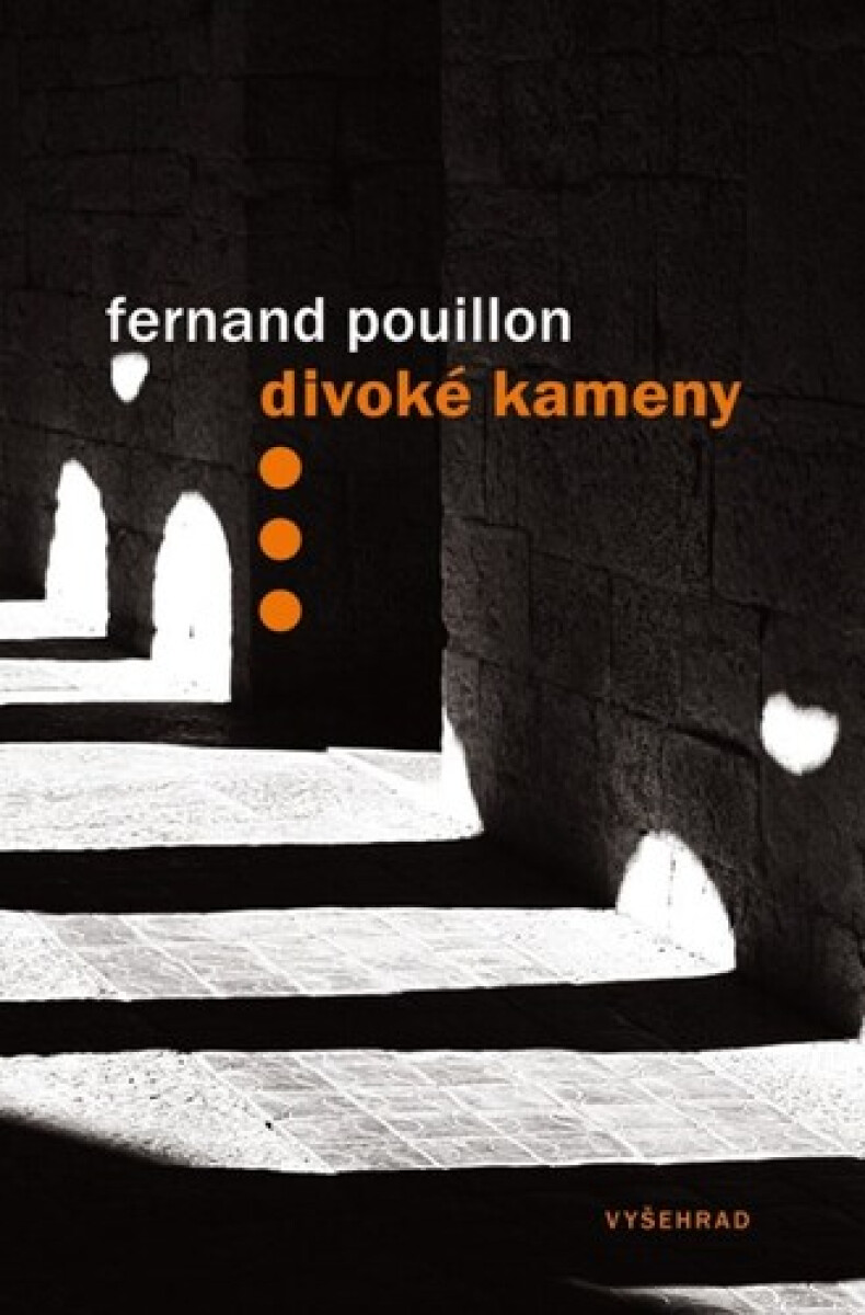 Kniha Divoké kameny