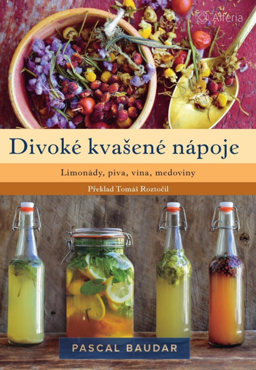 Divoké kvašené nápoje - Baudar Pascal