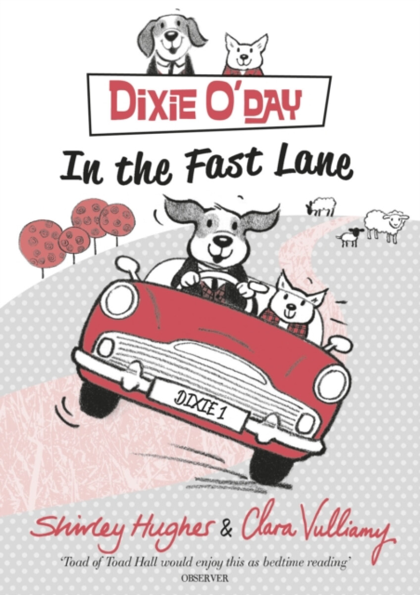 Kniha Dixie O'Day: In The Fast Lane