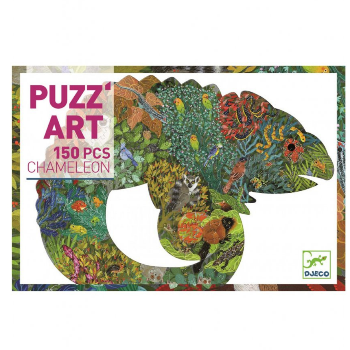 Kniha DJECO Chameleon