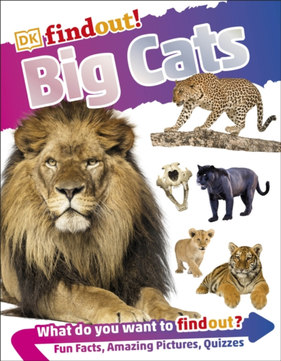 Kniha DKfindout! Big Cats