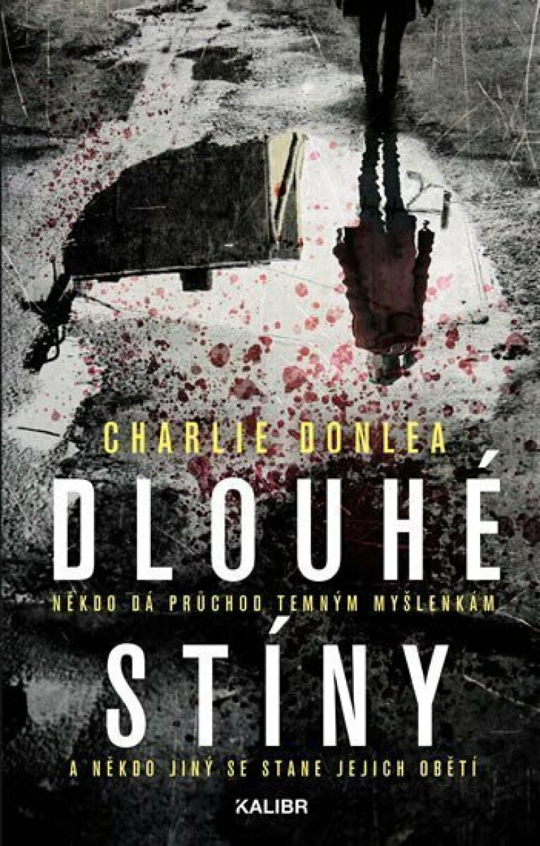 Dlouhé stíny – Charlie Donlea