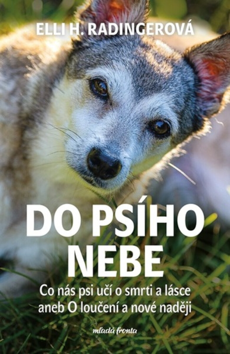 Kniha Do psího nebe