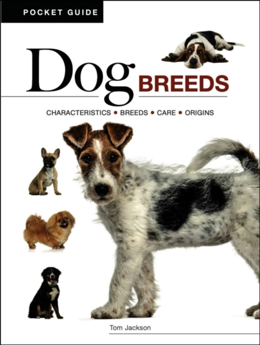 Kniha Dog Breeds