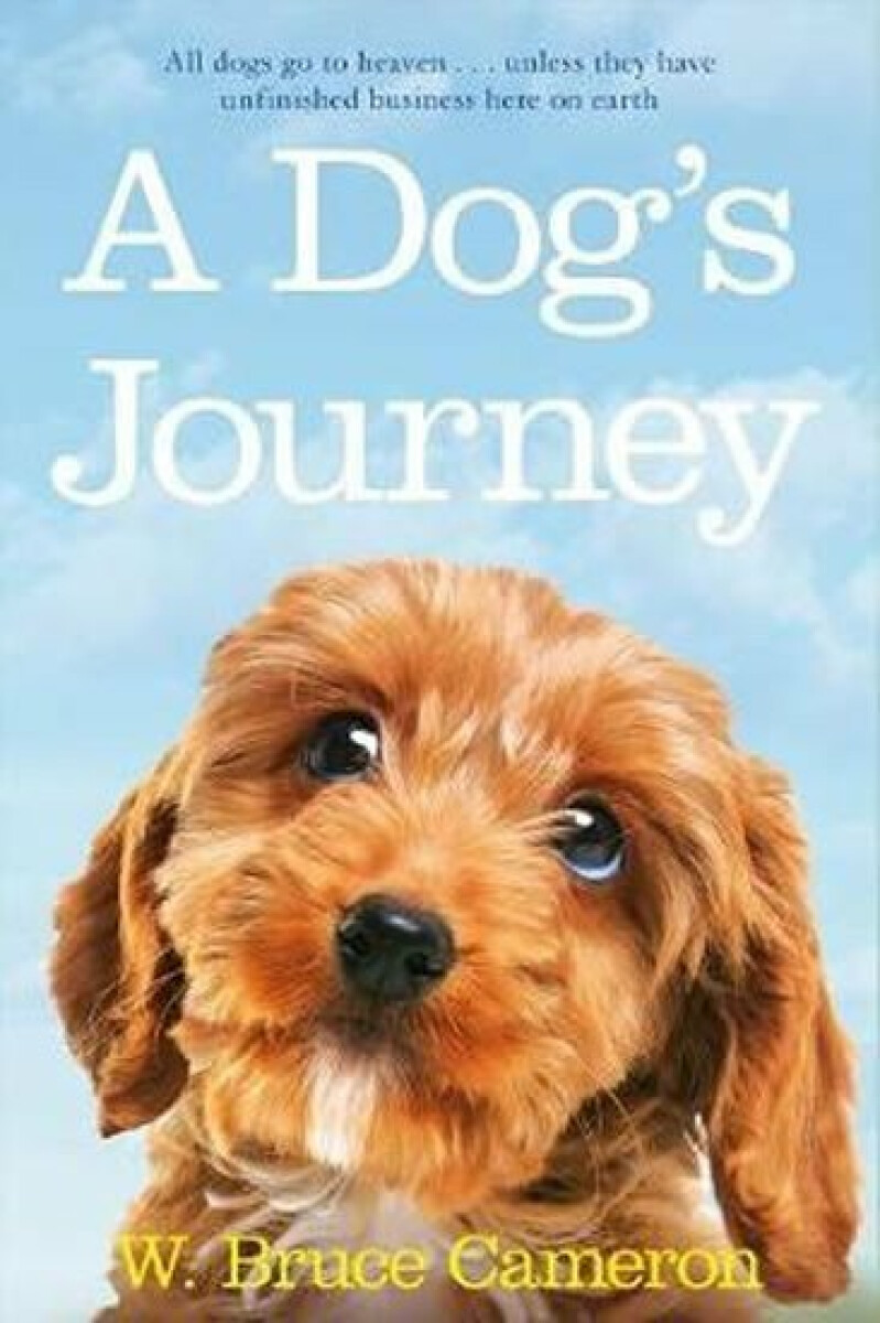 Kniha A Dog's Journey