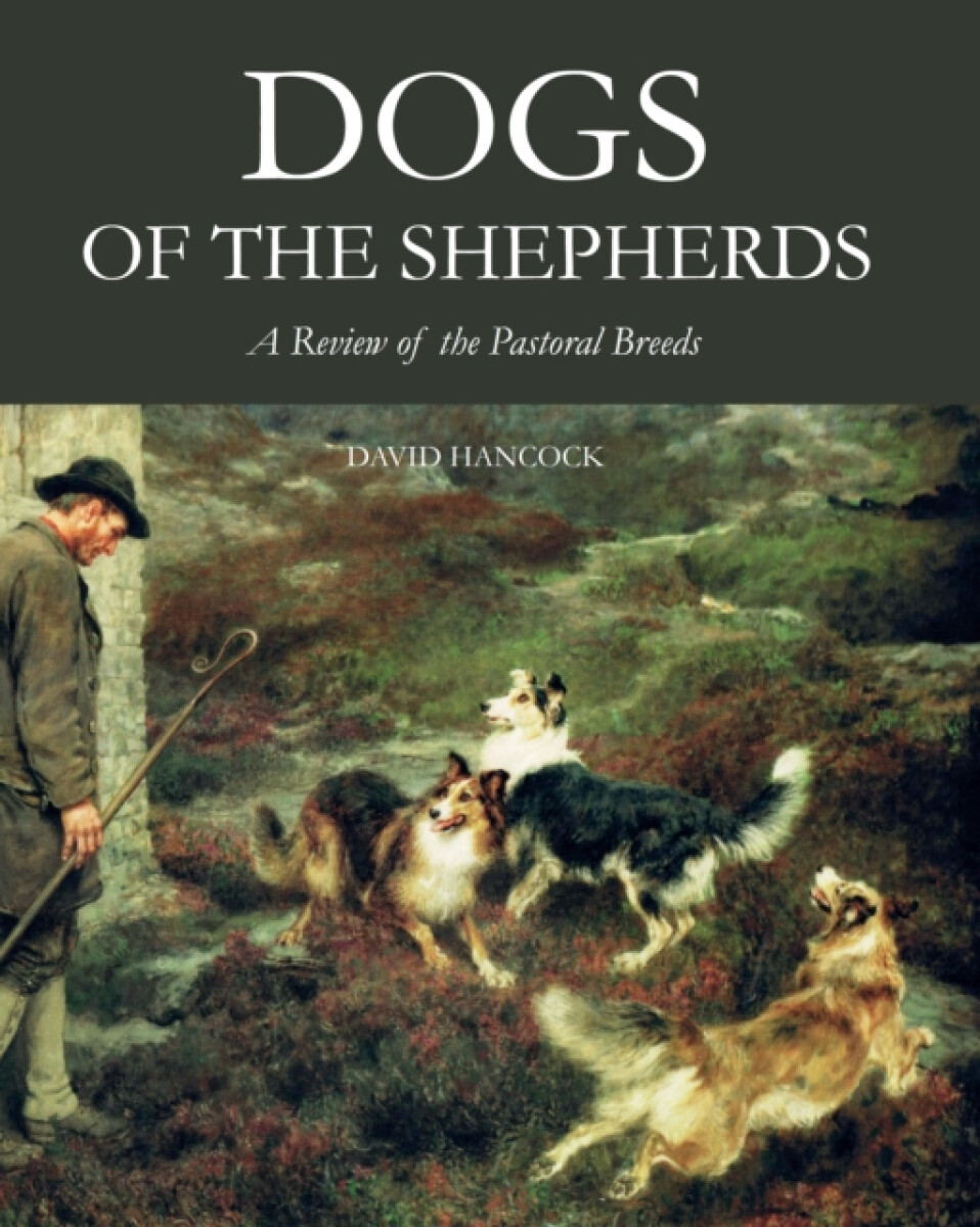 Kniha Dogs of the Shepherds