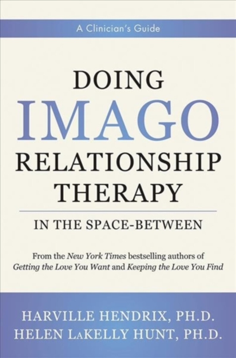 Kniha Doing Imago Relationship Therapy in the Space-Between