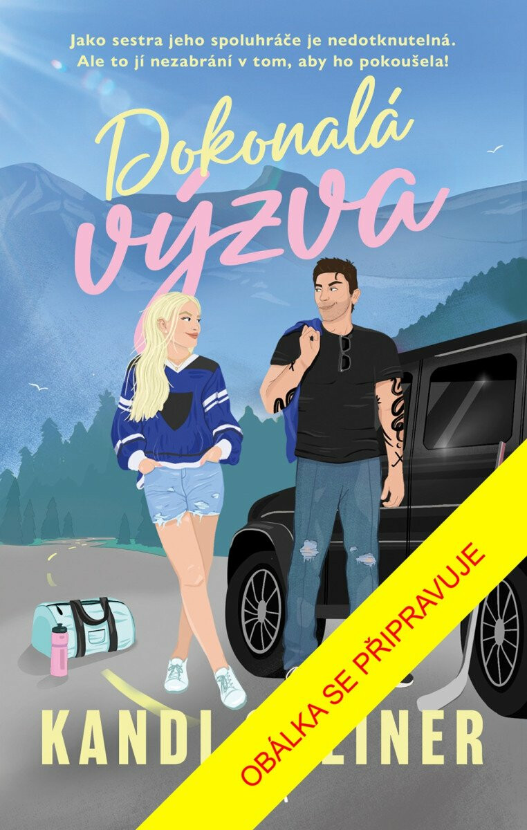 Kniha Dokonalá výzva