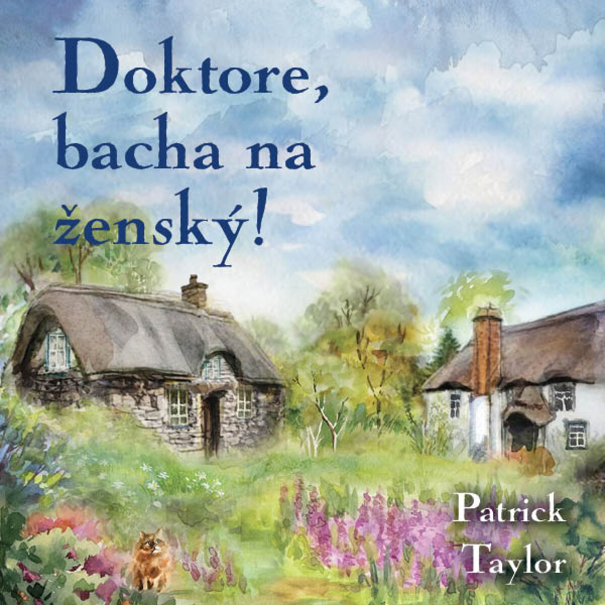 Doktore, bacha na ženský! - Patrick Taylor - audiokniha