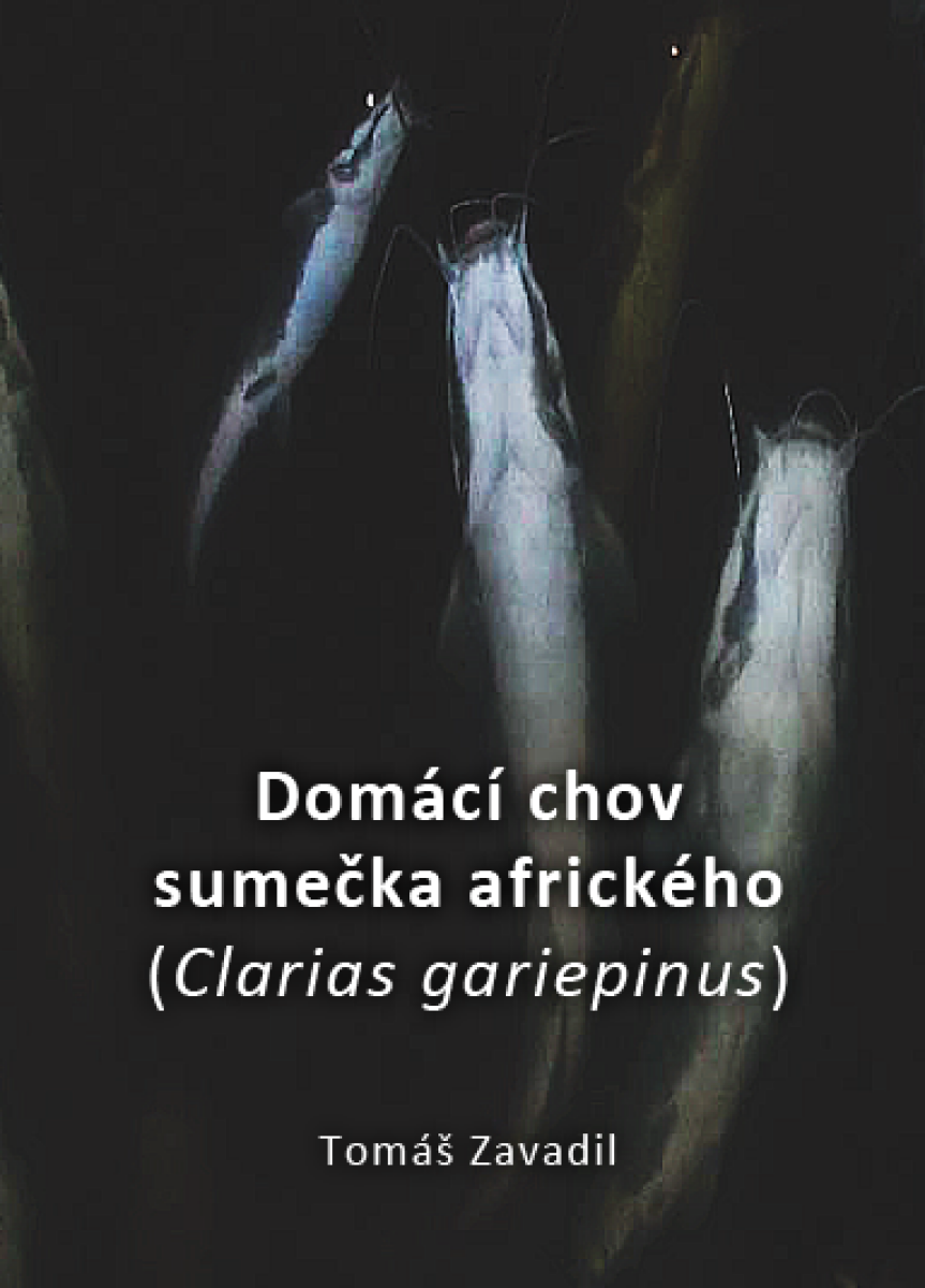 Domácí chov sumečka afrického  - Tomáš Zavadil