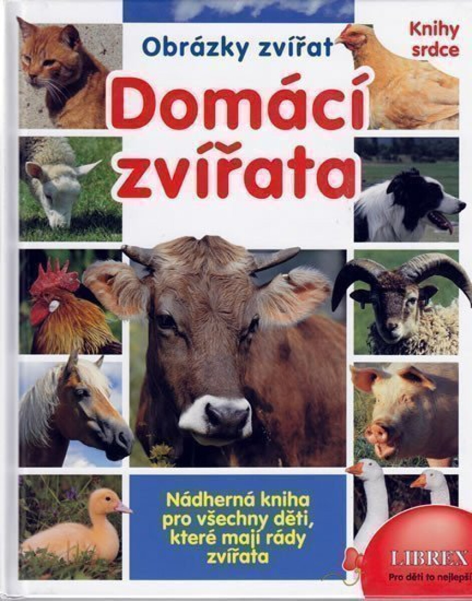 Kniha Domácí zvířata