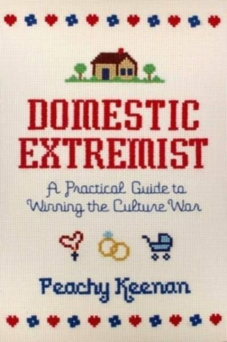 Kniha Domestic Extremist