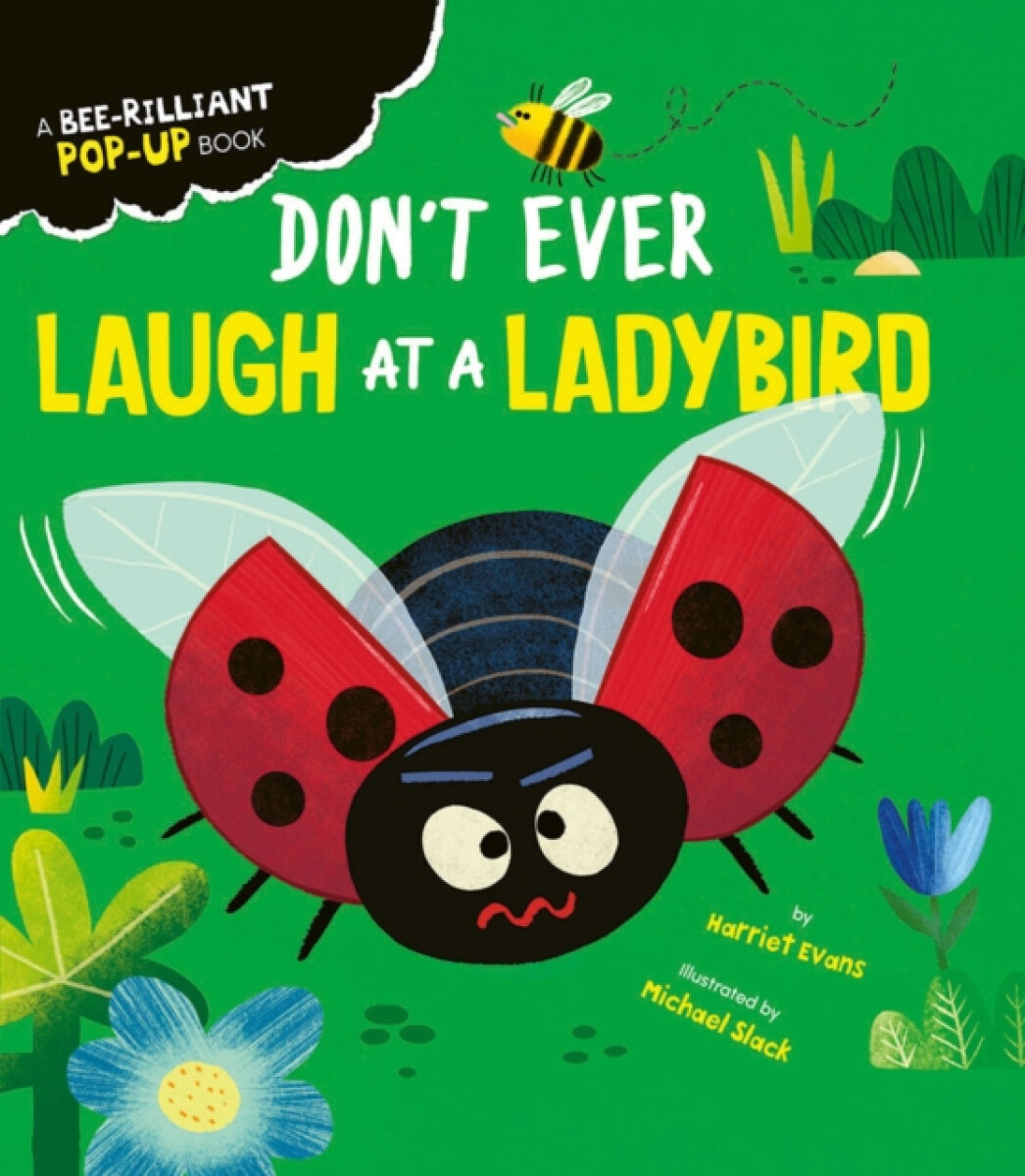 Kniha Don't Ever Laugh at a Ladybird