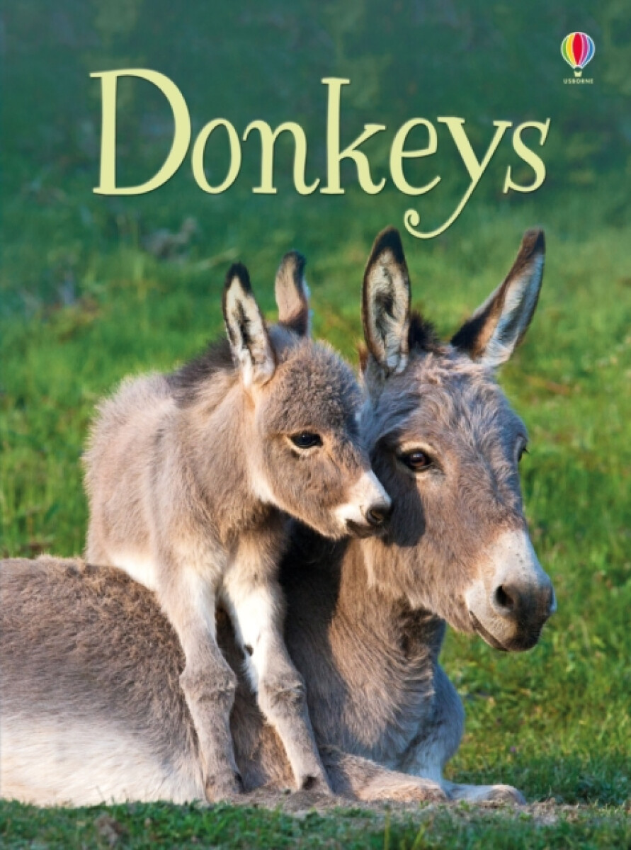 Kniha Donkeys
