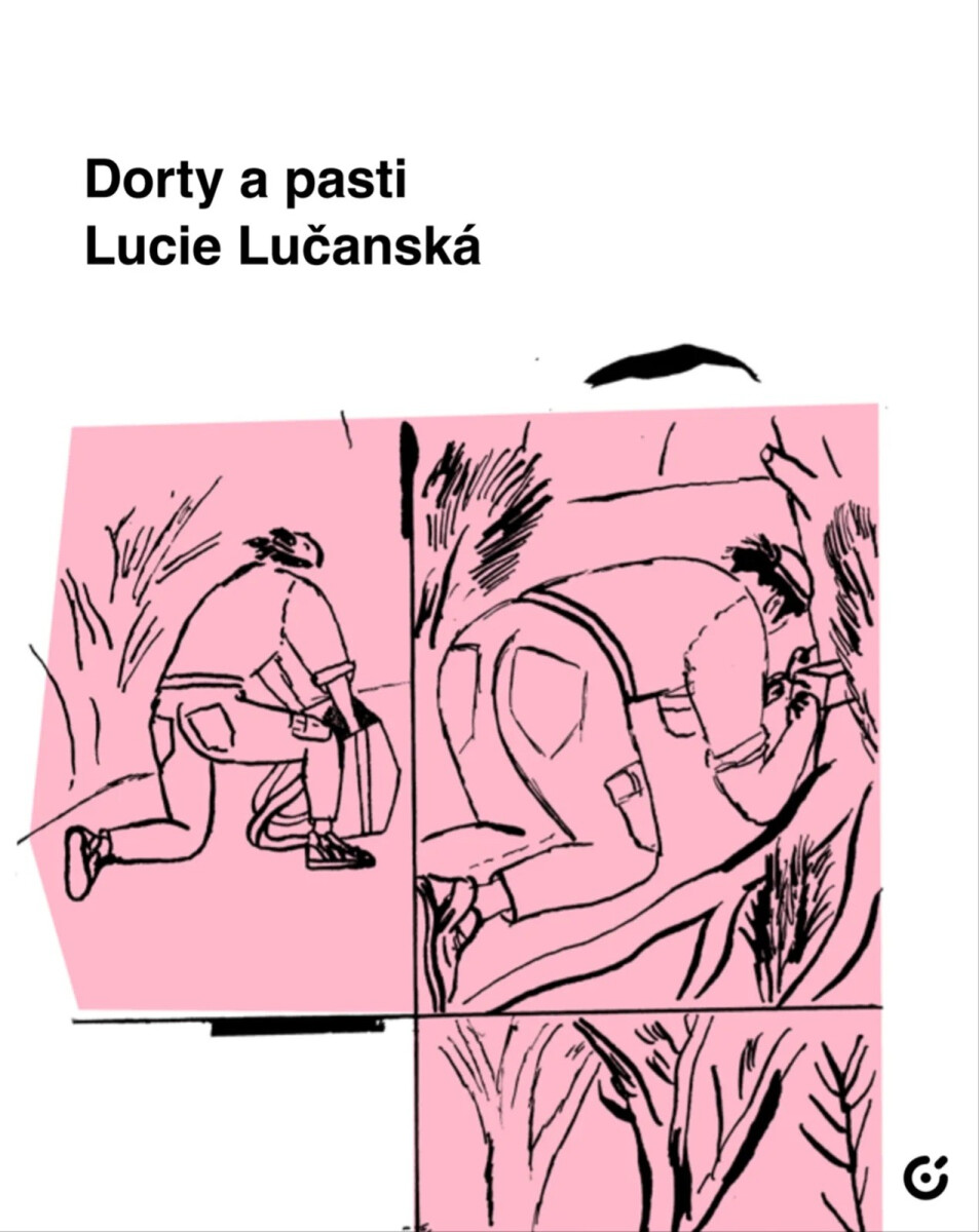 Kniha Dorty a pasti