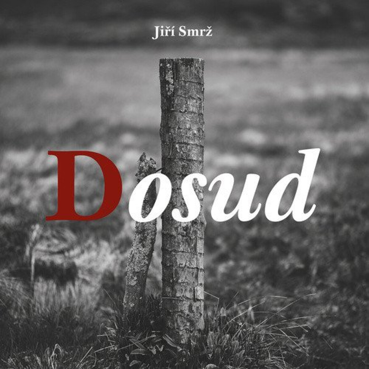Kniha Dosud