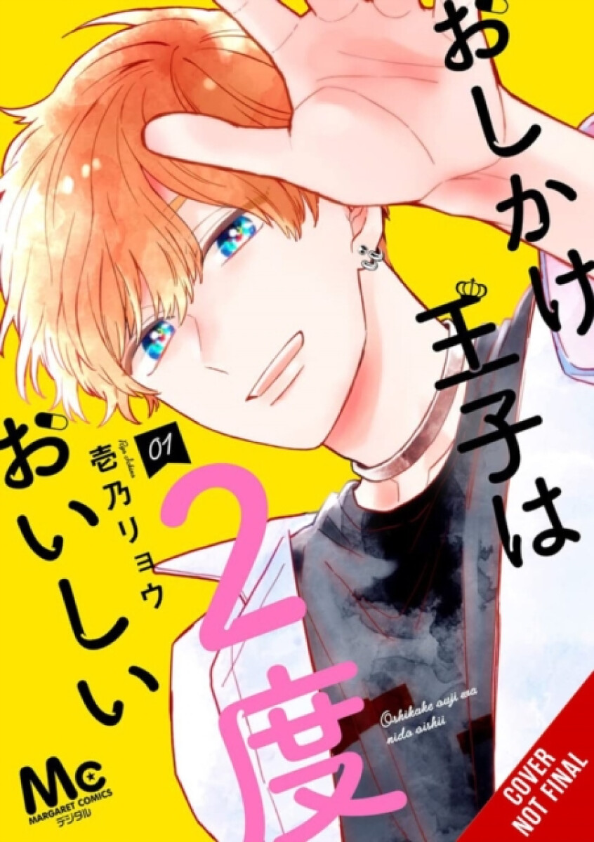 Kniha Double the Trouble, Twice as Nice, Vol. 1