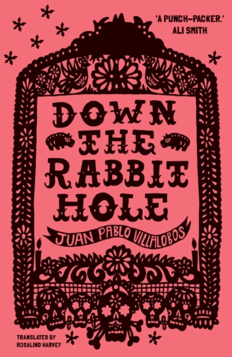 Kniha Down the Rabbit Hole