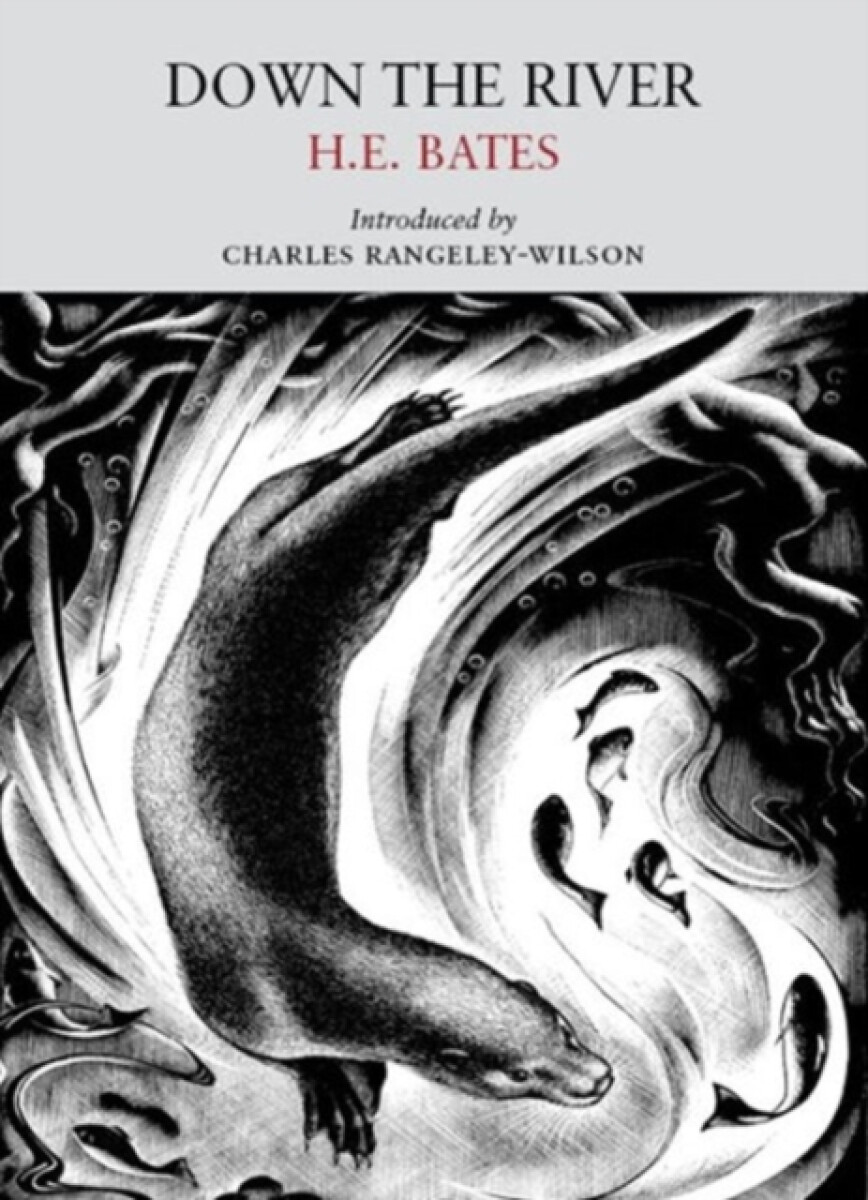 Kniha Down the River