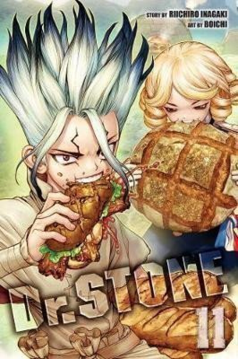 Kniha Dr. STONE, Vol. 11