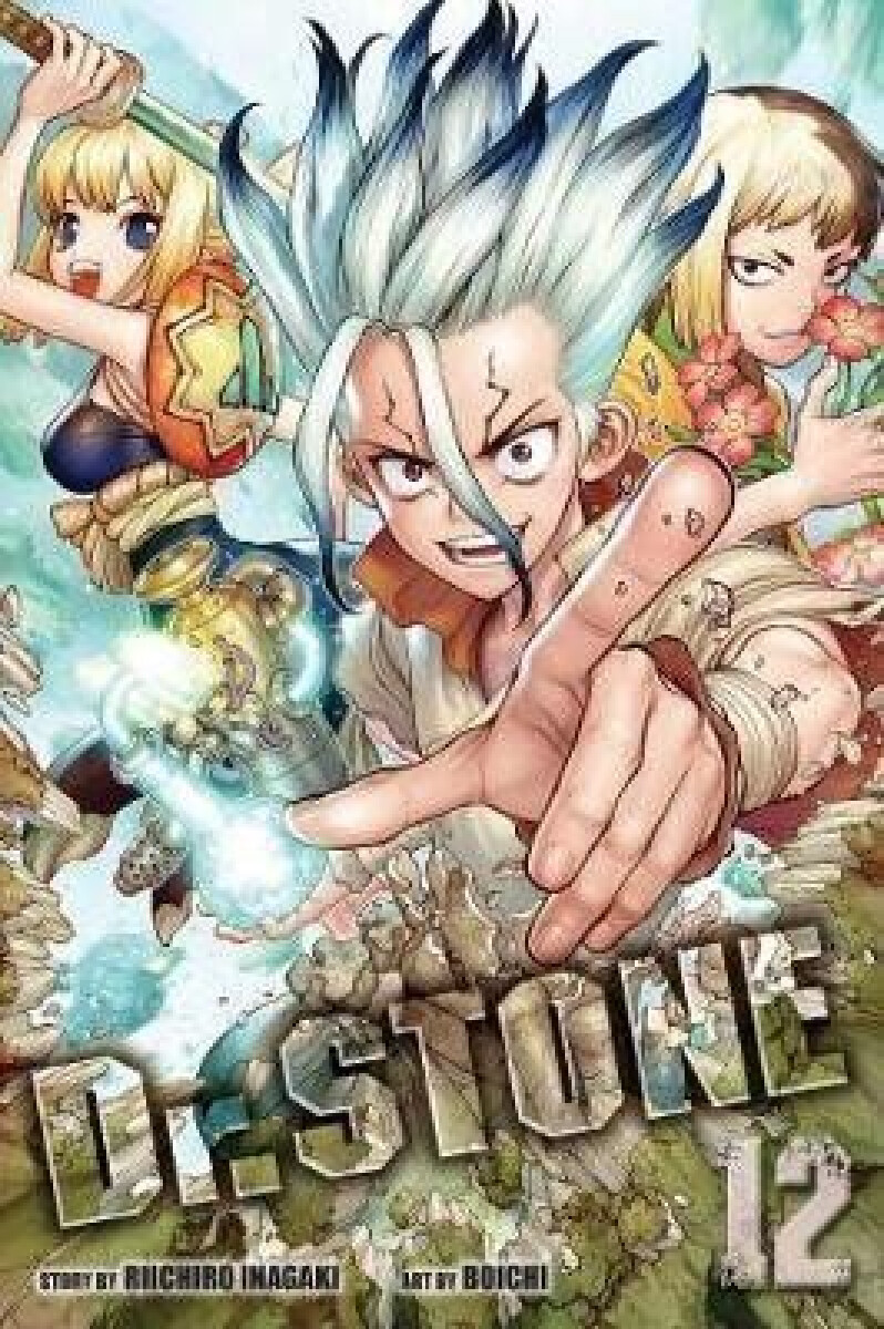 Kniha Dr. STONE, Vol. 12