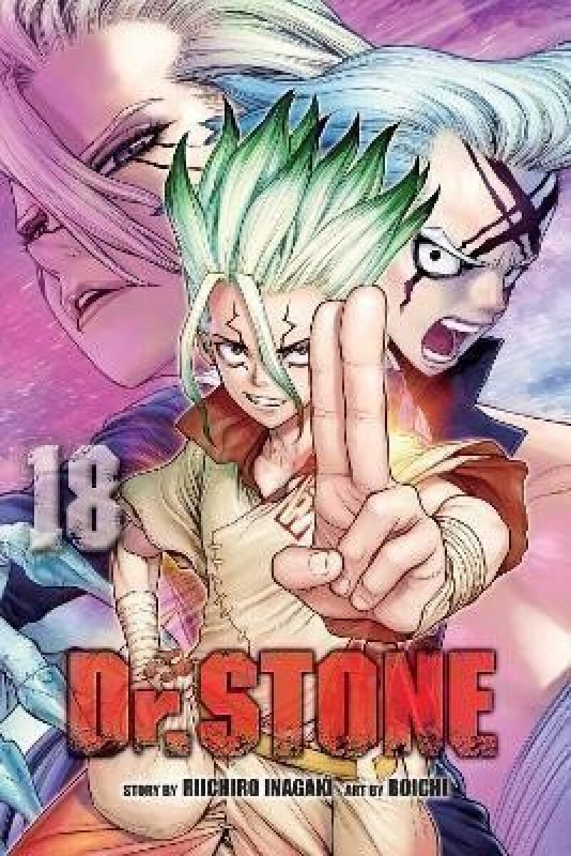 Kniha Dr. STONE, Vol. 18
