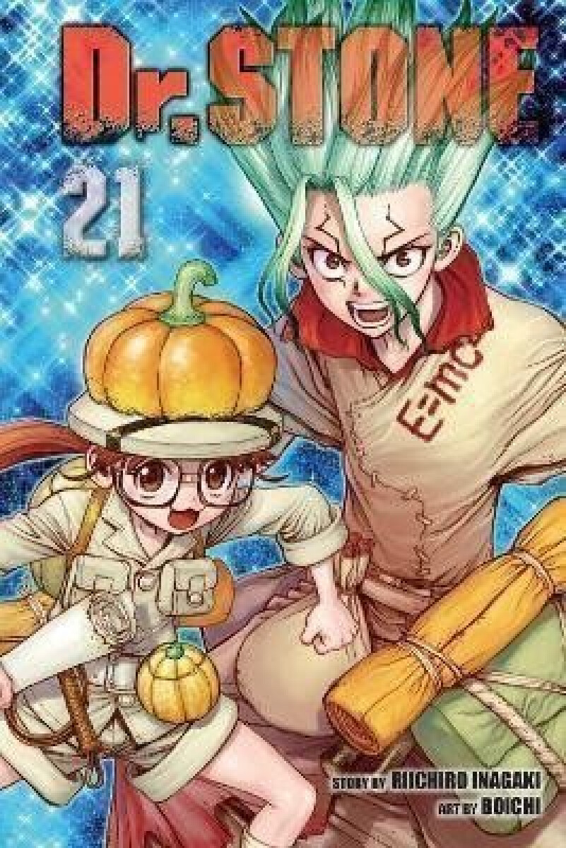 Kniha Dr. STONE, Vol. 21