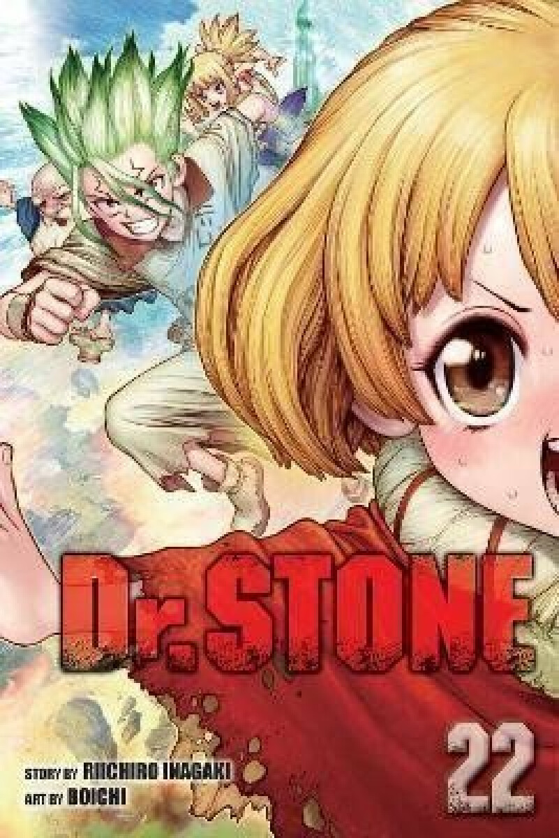 Kniha Dr. Stone 22