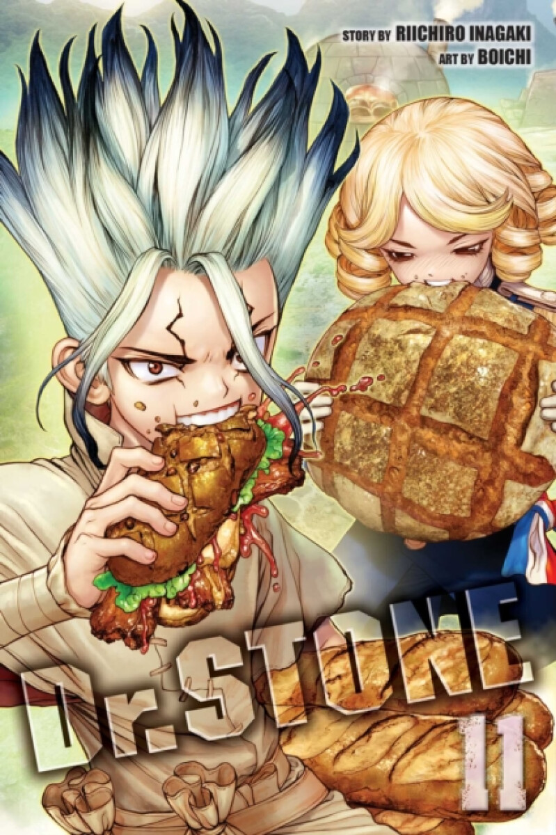 Kniha Dr. STONE, Vol. 11