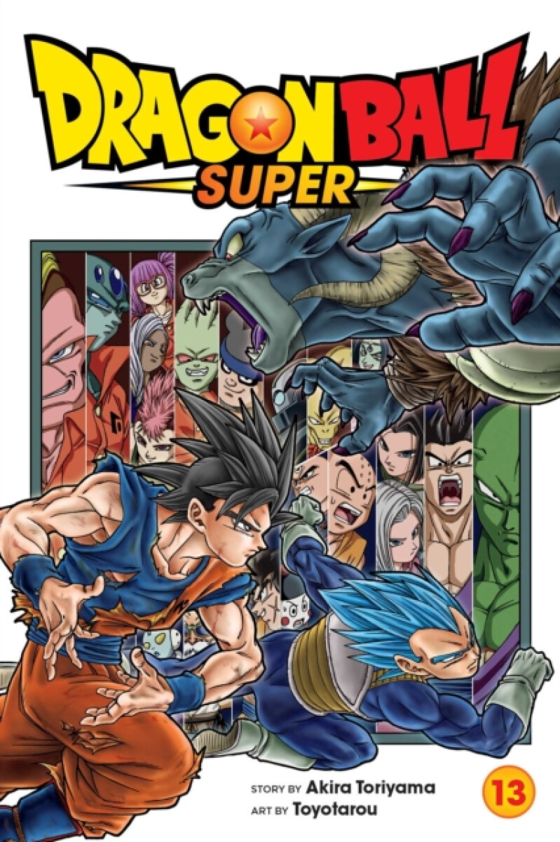 Kniha Dragon Ball Super, Vol. 13