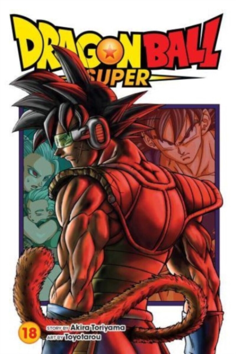 Kniha Dragon Ball Super, Vol. 18