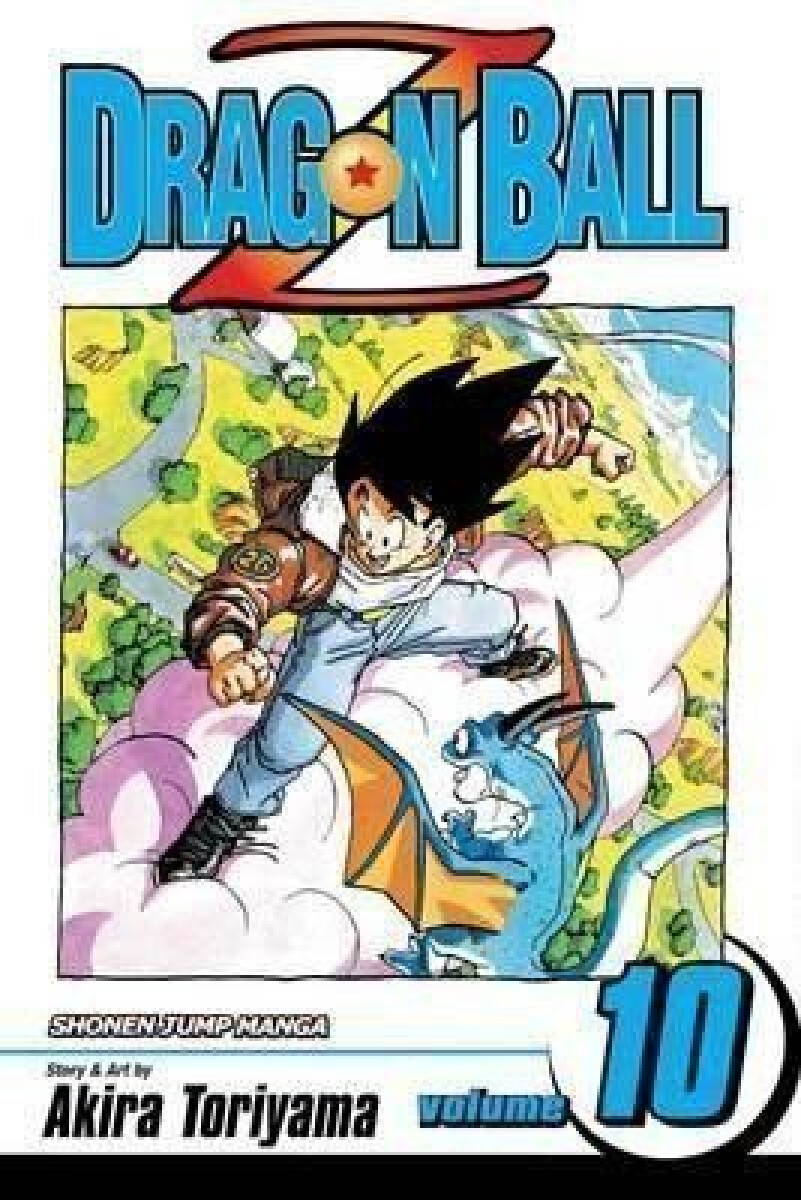 Kniha Dragon Ball Z 10