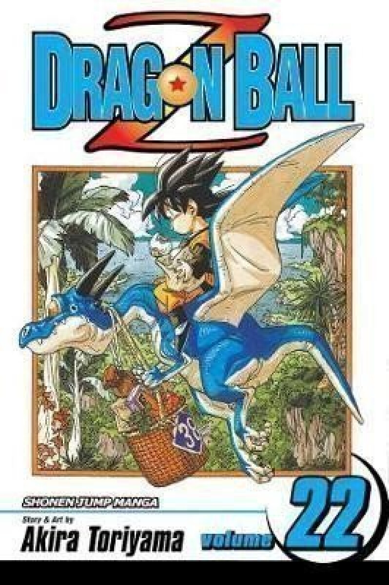 Kniha Dragon Ball Z 22