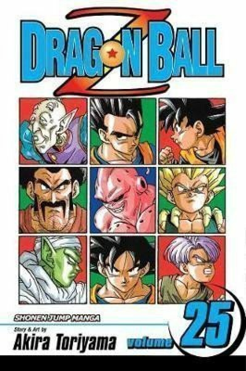 Kniha Dragon Ball Z 25
