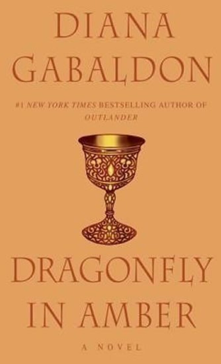 Kniha Dragonfly in Amber