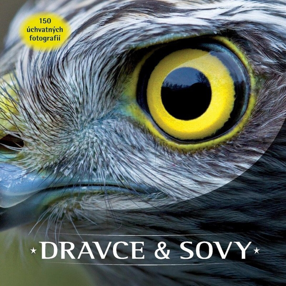 Kniha Dravce a sovy