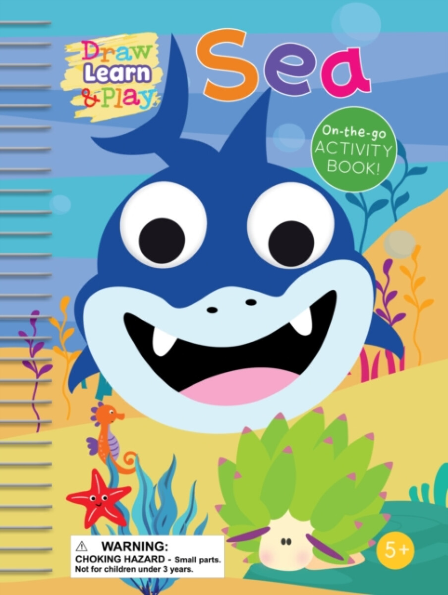 Kniha Draw, Learn & Play