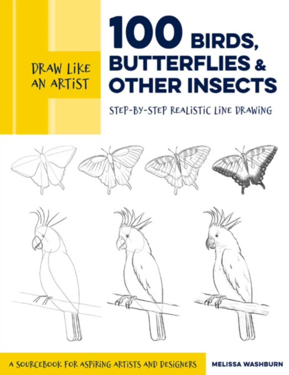 Kniha Draw Like an Artist: 100 Birds, Butterflies, and Other Insects