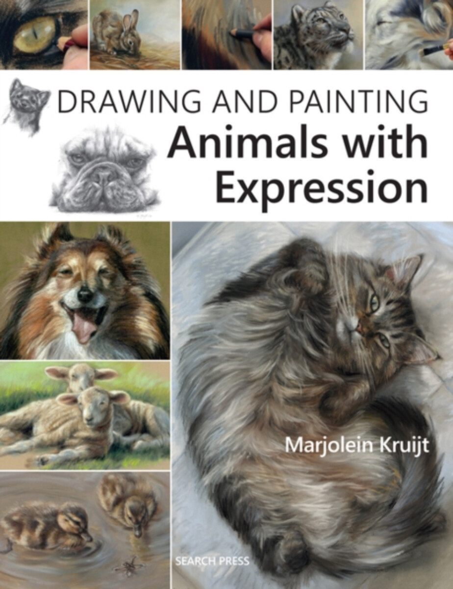 Kniha Drawing and Painting Animals with Expression