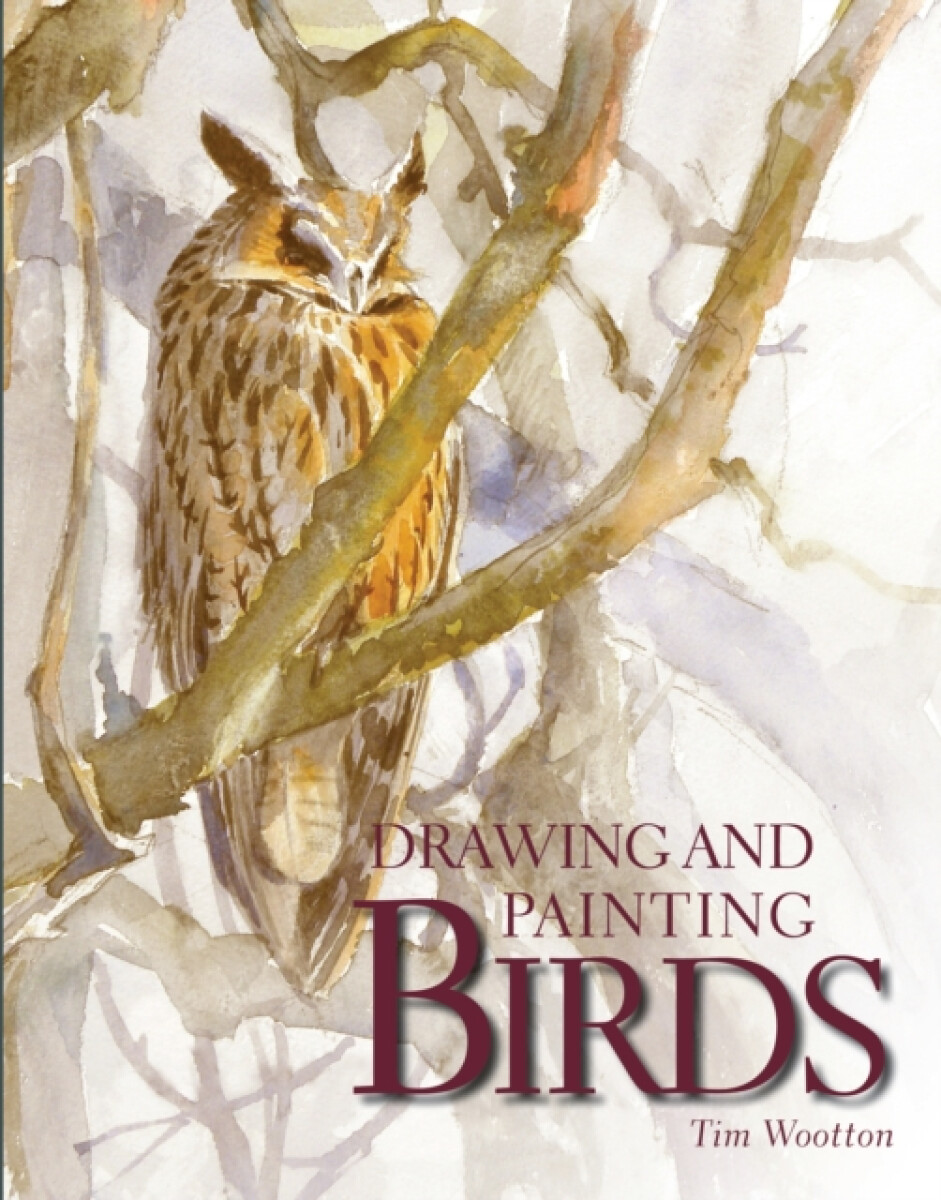 Kniha Drawing and Painting Birds